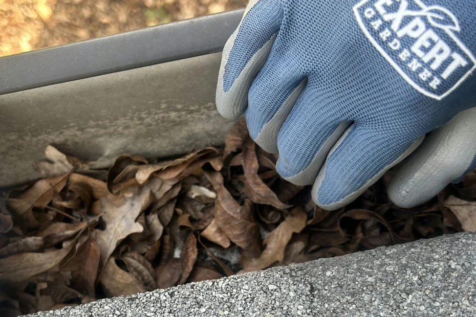 Gutter Cleaning Jacksonville Beach FL