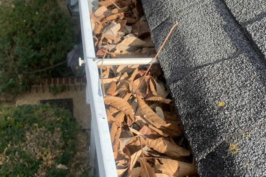 Gutter Cleaning Jacksonville Beach FL