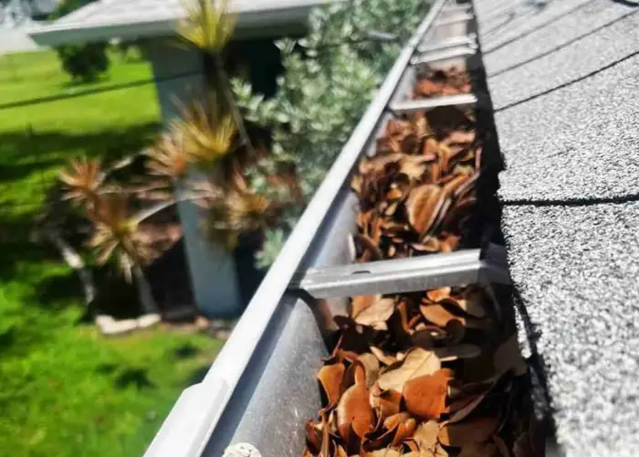 Gutter Cleaning Jacksonville Beach FL home page